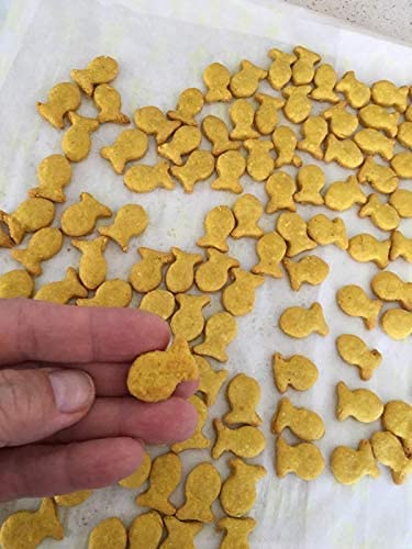 CookieCutter Mini Tiny Fish Cookie Cutter, Goldfish Cracker Multi x5 (2 Pack) - Fun, Baking, Dough, and Fondant Cutter For Kids, Baked Fish-Shaped Maker (2)