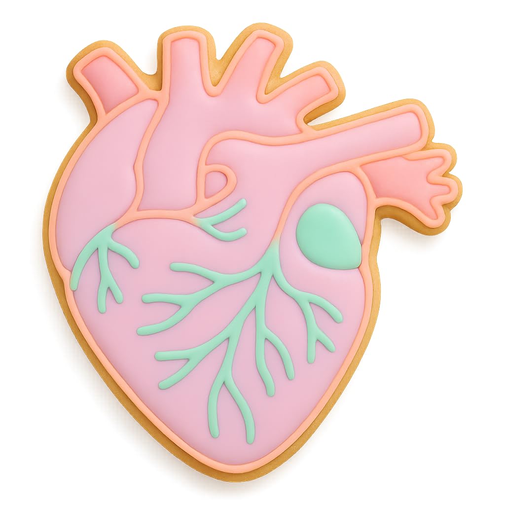 Mighty Gadget Anatomical Human Heart Cookie Cutter & Stamp - 4x3.48", Realistic Medical Design for Science Lovers (Random Color)