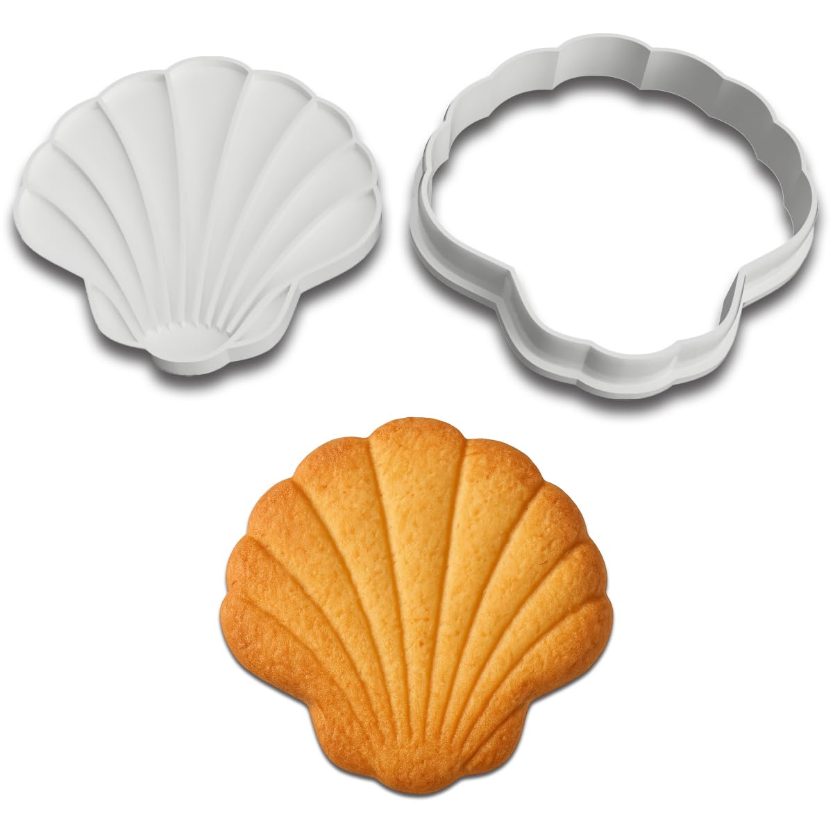 Mighty Gadget Seaside Scallop Seashell Cookie Cutter & Stamp Set - 3.75x3.75 Inches, Ocean-Inspired Baking Tool