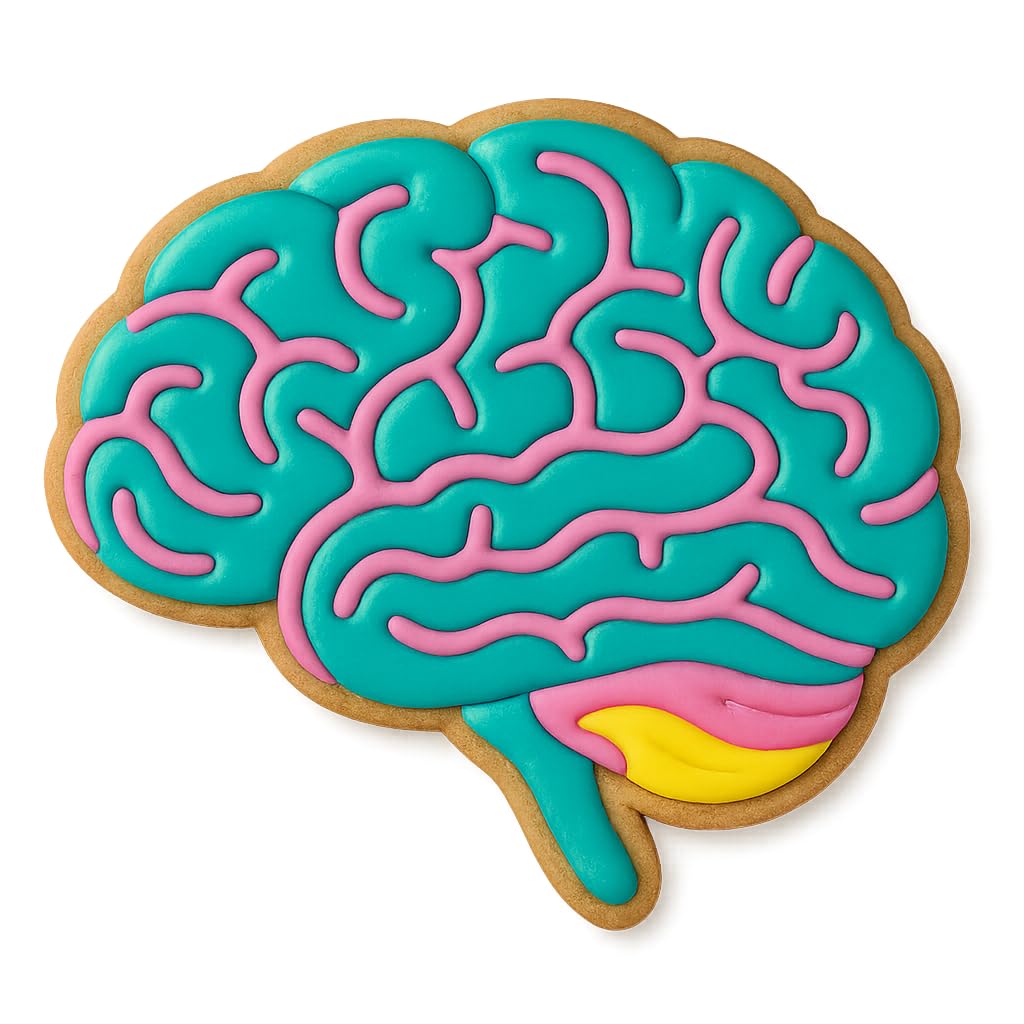 Human Brain Cookie Cutter & Stamp - 4x3.42 Inches, Anatomy Baking Tool for Halloween & Science Themes (Random Color)