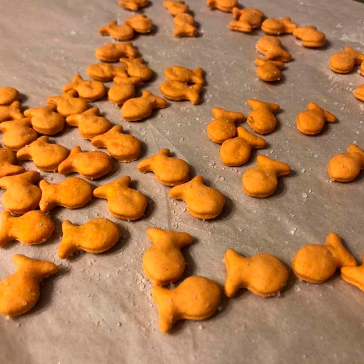 Fish Cookie Cutter for Baking & Fondant Clay Gifts Kitchen