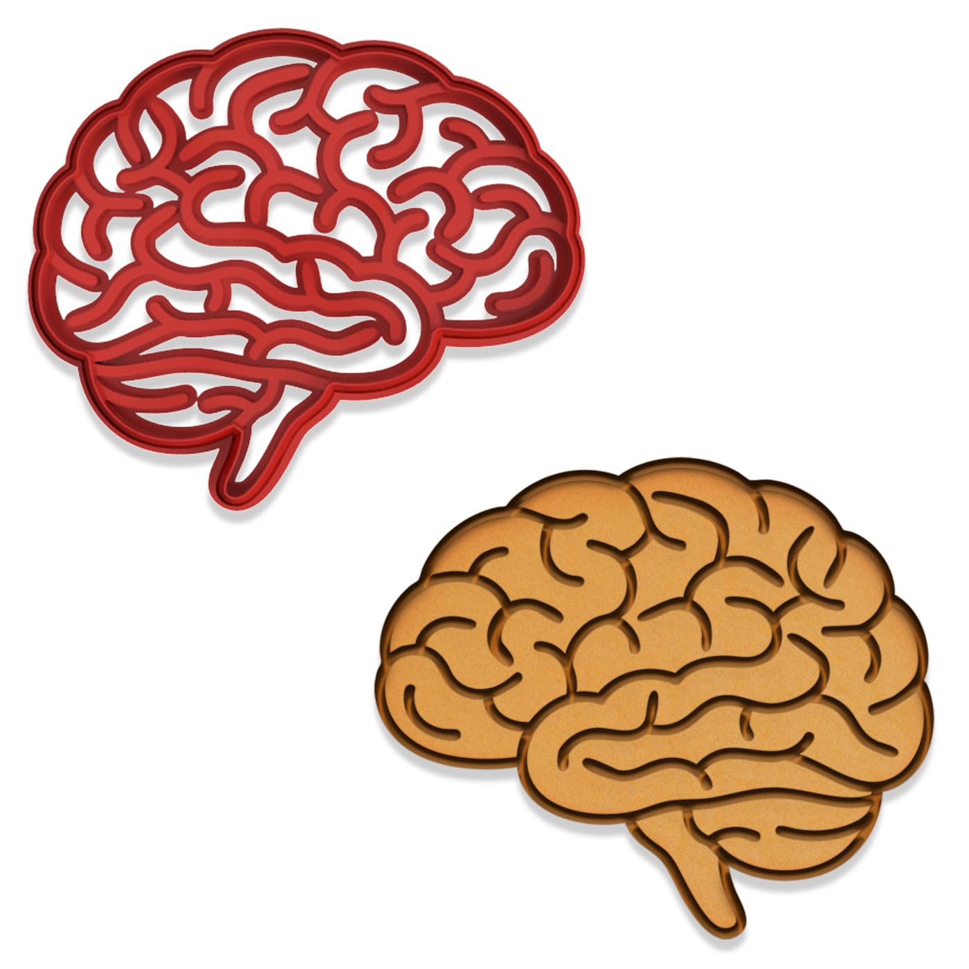 Human Brain Cookie Cutter & Stamp - 4x3.42 Inches, Anatomy Baking Tool for Halloween & Science Themes (Random Color)