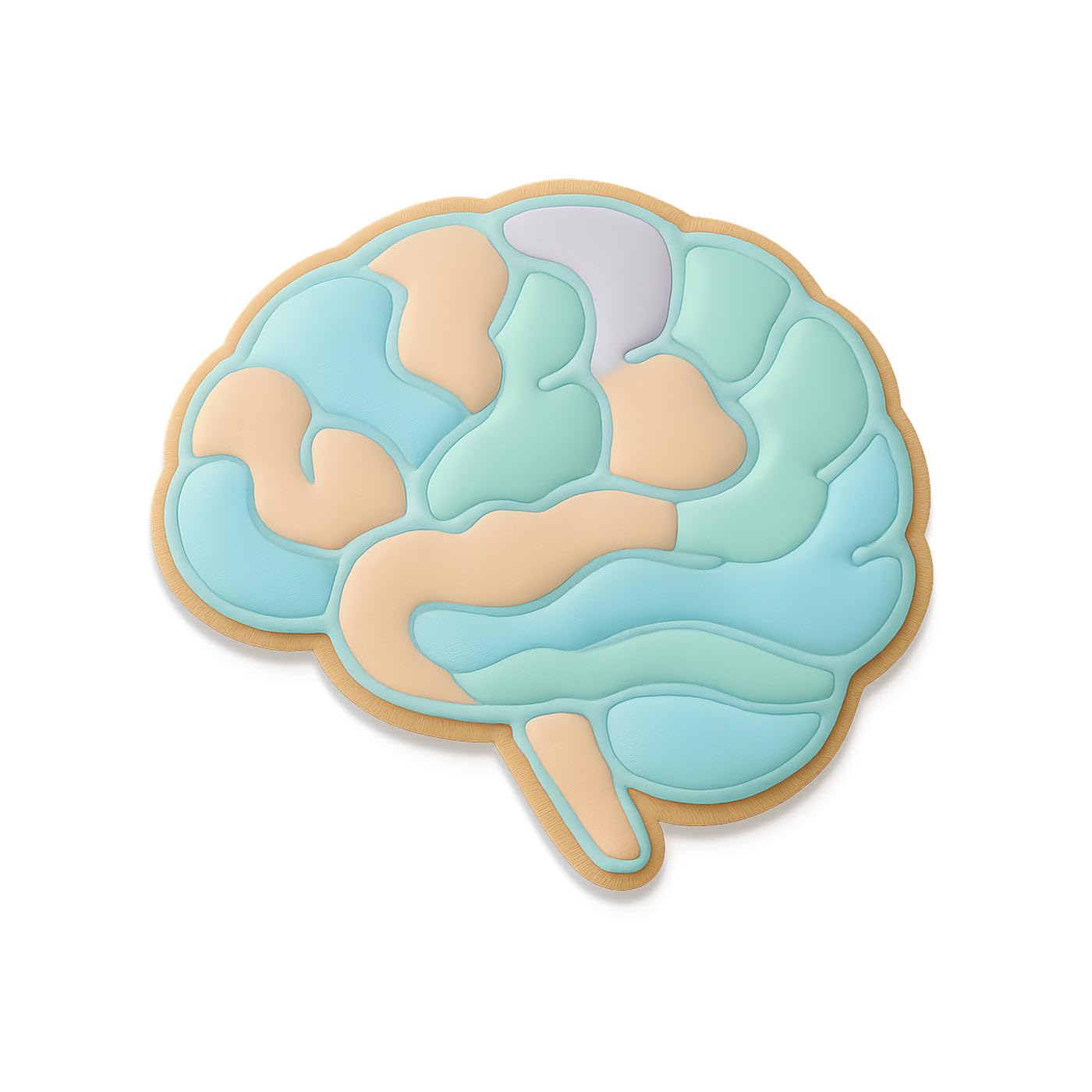 Human Brain Cookie Cutter & Stamp - 4x3.42 Inches, Anatomy Baking Tool for Halloween & Science Themes (Random Color)