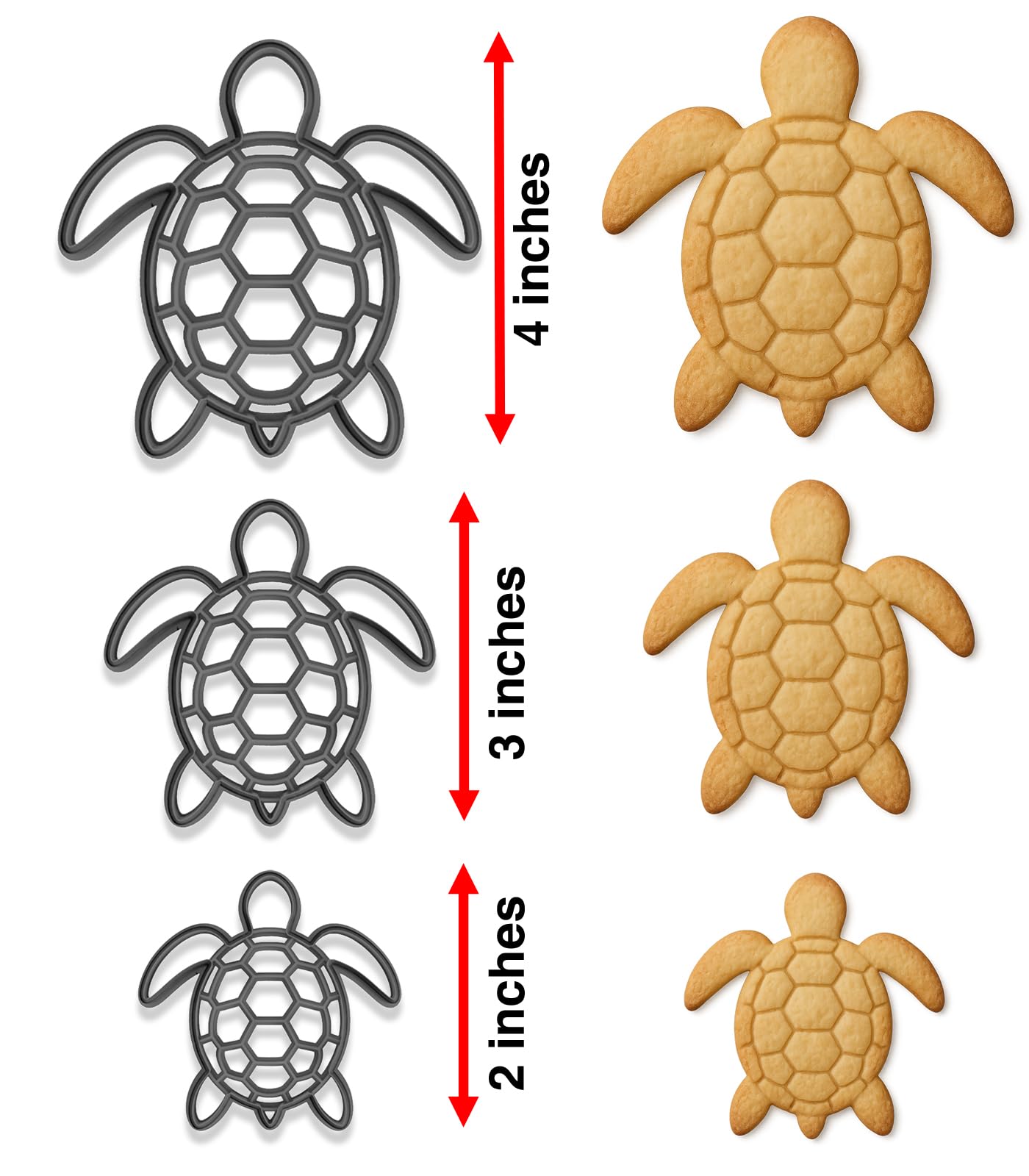 Ocean Turtle Cookie Cutter & Stamp Trio – 3 Sizes (4", 3", 2") – Beach-Themed Baking & Fondant Set (Random Color)