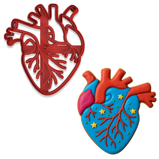 Mighty Gadget Anatomical Human Heart Cookie Cutter & Stamp - 4x3.48", Realistic Medical Design for Science Lovers (Random Color)