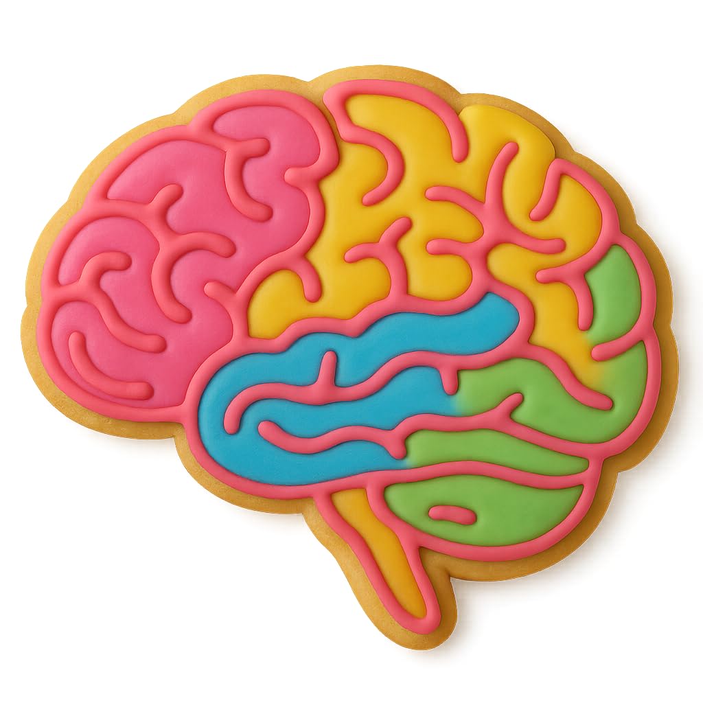 Human Brain Cookie Cutter & Stamp - 4x3.42 Inches, Anatomy Baking Tool for Halloween & Science Themes (Random Color)