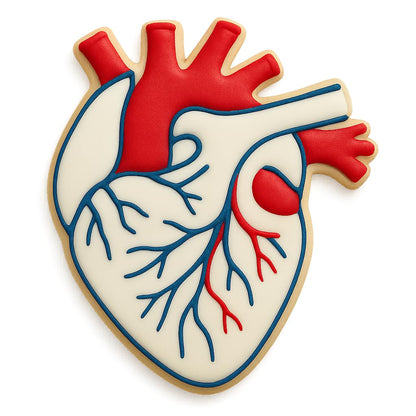 Mighty Gadget Anatomical Human Heart Cookie Cutter & Stamp - 4x3.48", Realistic Medical Design for Science Lovers (Random Color)