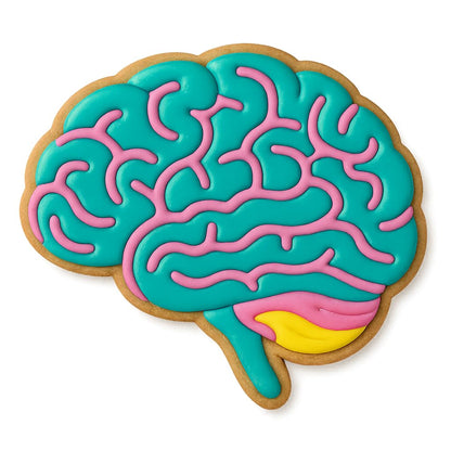 Human Brain Cookie Cutter & Stamp - 4x3.42 Inches, Anatomy Baking Tool for Halloween & Science Themes (Random Color)