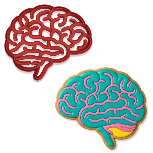 Human Brain Cookie Cutter & Stamp - 4x3.42 Inches, Anatomy Baking Tool for Halloween & Science Themes (Random Color)